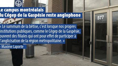 Thumbnail Cégep gaspésie 18 nov 2020
