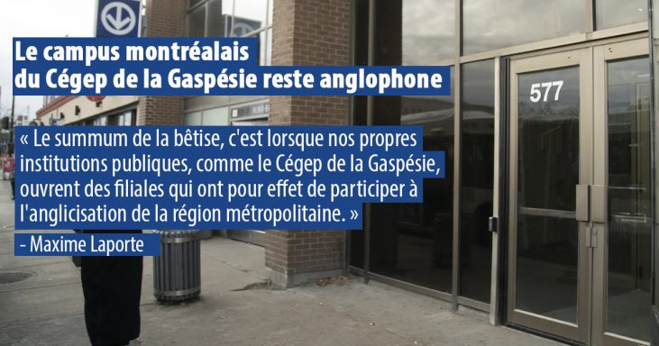 Thumbnail Cégep gaspésie 18 nov 2020